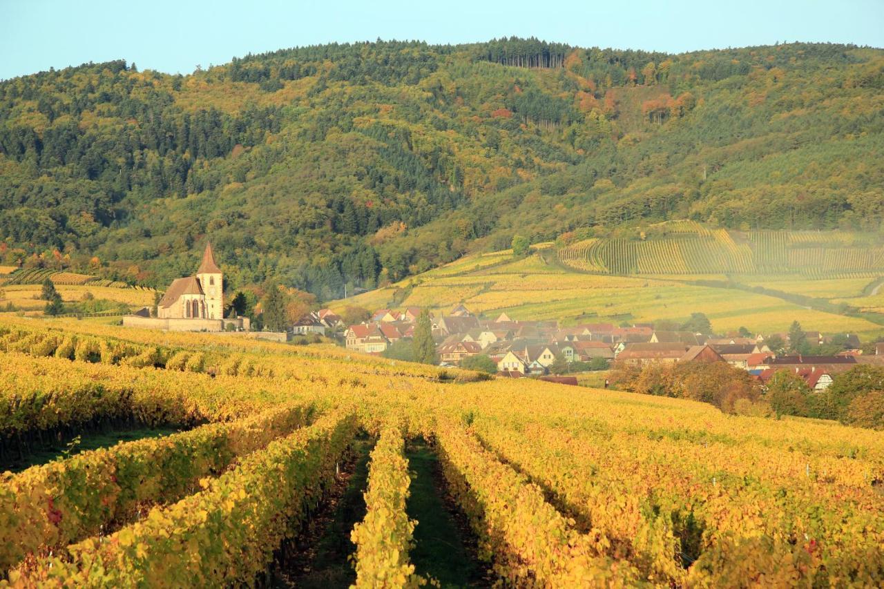 Le 19 Kleber Climatise Lägenhet Colmar Exteriör bild