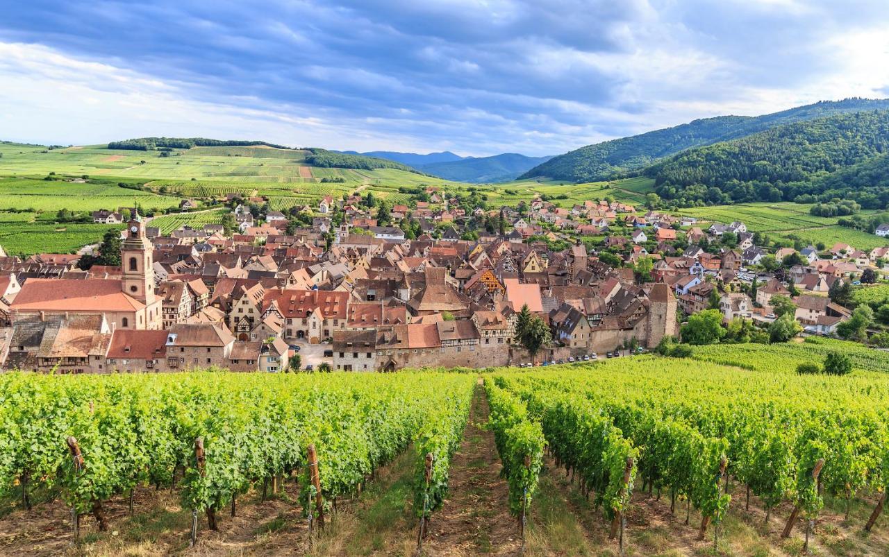 Le 19 Kleber Climatise Lägenhet Colmar Exteriör bild