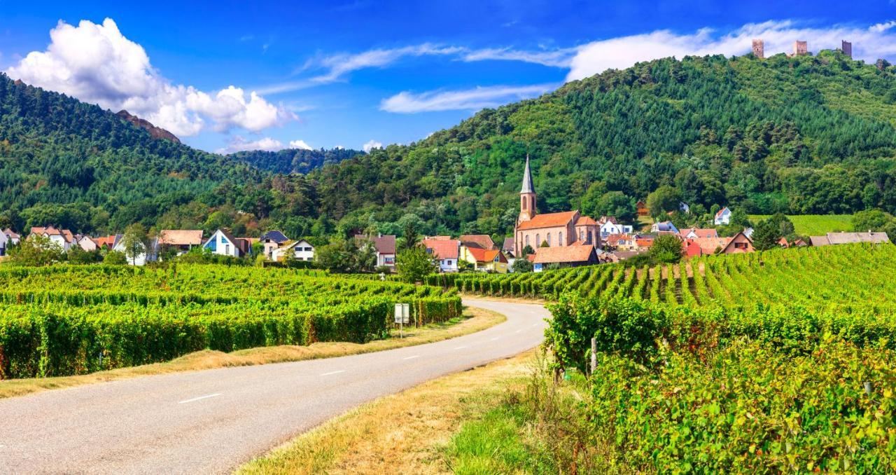 Le 19 Kleber Climatise Lägenhet Colmar Exteriör bild